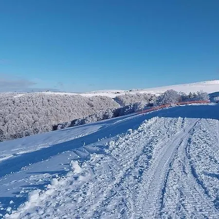 Apartment Grand'roche